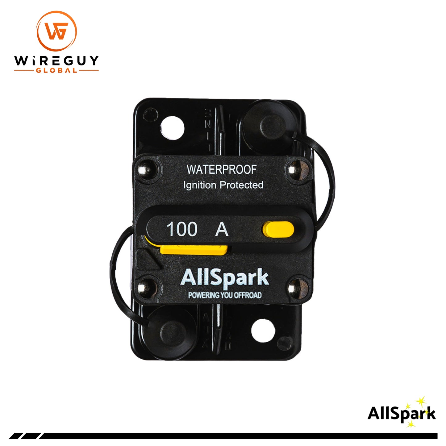 AllSpark 12V 1000 Watt PRO Series Pure Sine Wave Inverter with CB